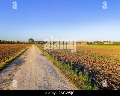 Une belle soirée d'été sur la terre campagne, dans les champs d'herbe et de terre labourée au coucher du soleil dans l'arrière-plan. Banque D'Images