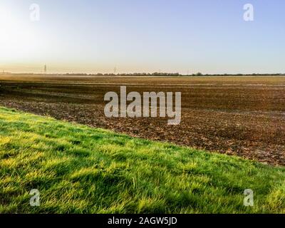 Une belle soirée d'été sur la terre campagne, dans les champs d'herbe et de terre labourée au coucher du soleil dans l'arrière-plan. Banque D'Images