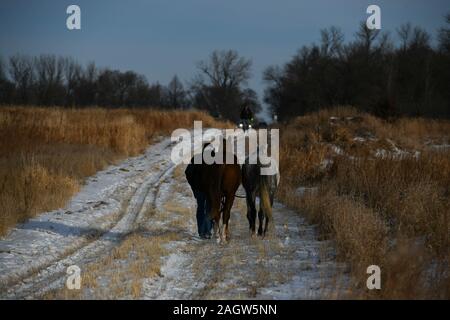 Vesta, Minnesota, USA. Dec 21, 2019. Un Dakota rider, récupère deux chevaux qui s'est échappé de l'enclos pendant la nuit à Vesta, Minnesota mercredi, le 11e jour et 259 km d'un 325-mile Dakota 382 Memorial Ride à Mankato, Minnesota, site de la plus grande exécution en masse dans l'histoire américaine. Le président Abraham Lincoln a ordonné la pendaison de 38 Indiens du Dakota''"et plus tard, deux chefs''"après leur soulèvement contre le gouvernement américain après le crédit aux États-Unis : ZUMA Press, Inc./Alamy Live News Banque D'Images