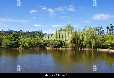 Umar Lake in situ, Marché Flottant, Lembang, Bandung, Java ouest, Indonésie Banque D'Images