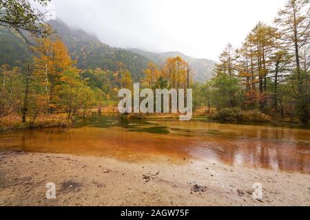 Avis de tashiro-ike pond et de terres humides dans kamikochi saison d'automne Banque D'Images