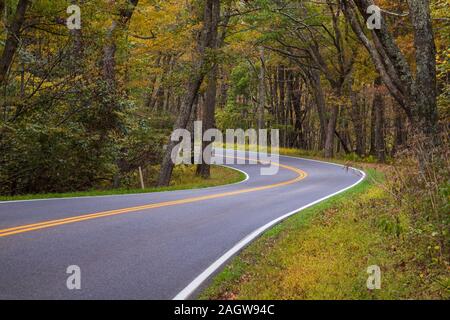 Skyline Drive le long de la courbe au début de l'automne d'Arbres et feuillage d'automne dans le Parc National Shenandoah Banque D'Images