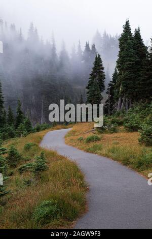 Scène de brouillard d'Hurricane Ridge dans le parc national Olympic Banque D'Images