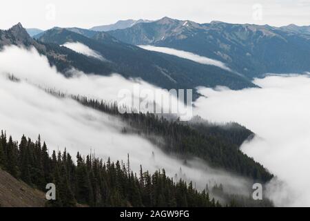 Le brouillard rampant le long de la paroi de Elk Mountain dans le parc national Olympic Banque D'Images