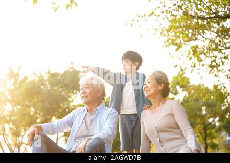 Petit-fils de l'Asie, grand-père et grand-mère chat assis sur l'herbe en plein air dans le parc au crépuscule Banque D'Images