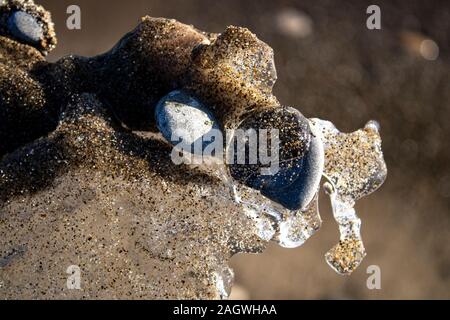 De belles formes de glace à partir d'objets sur la plage Banque D'Images