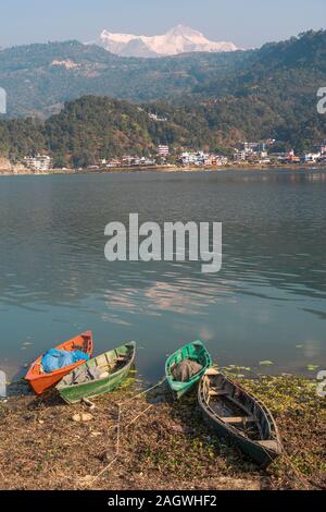 Bateaux dans Pokhara. Lac Pheva Banque D'Images