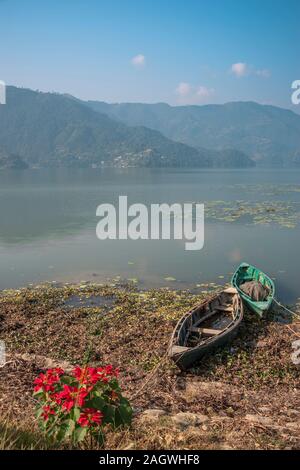 Bateaux dans Pokhara. Lac Pheva Banque D'Images