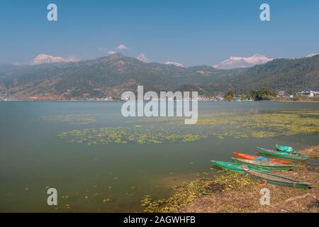 Bateaux dans Pokhara. Lac Pheva Banque D'Images