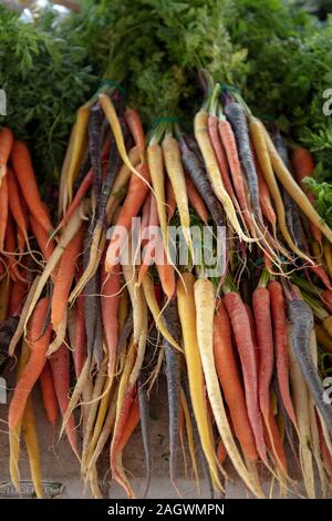 Carottes de couleur différente vu à un marché de producteurs à Perth, Australie occidentale. Banque D'Images