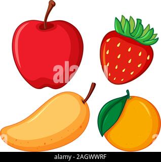 Quatre différents types de fruits sur fond blanc illustration Illustration de Vecteur