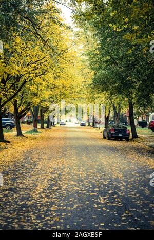 Dans la rue de l'automne dans l'Est du village anglais, quartier, Detroit, Michigan, USA Banque D'Images