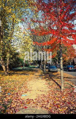 Dans la rue de l'automne dans l'Est du village anglais, quartier, Detroit, Michigan, USA Banque D'Images