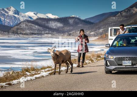 Banff - 04 octobre, 2018 : près de Medicine Lake avec les touristes asiatiques et les montagnes lointaines à Jasper National Park, Canada. Banque D'Images