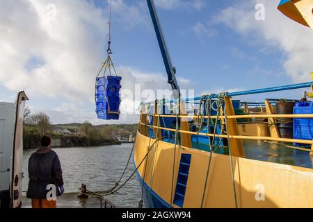 L'atterrissage de chalutiers irlandais ses prises de poisson en Union Hall Harbour West Cork en Irlande. Banque D'Images