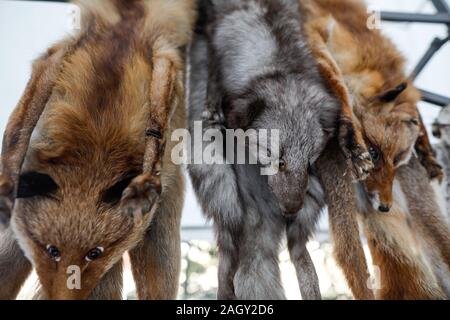 Fox furs avec peau yeux artificiels sur l'exposition à une foire des paysans à Bucarest, Roumanie. Banque D'Images