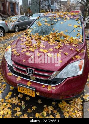 Les feuilles d'automne humide couvrir une voiture et la rue après la pluie à la fin de l'automne dans le quartier de Kensington de Brooklyn, New York.h Banque D'Images