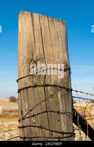 Vieille clôture en bois poster avec Barb Wire. Banque D'Images