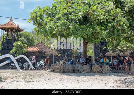 Groupe d'hommes assis sur la plage de Bali en dessous de la cime des arbres regardant des coqs Banque D'Images