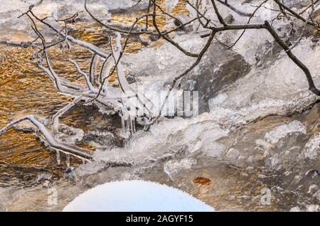 Branches de saule congelé sur la rive du ruisseau de golden, lumière au coucher du soleil Banque D'Images