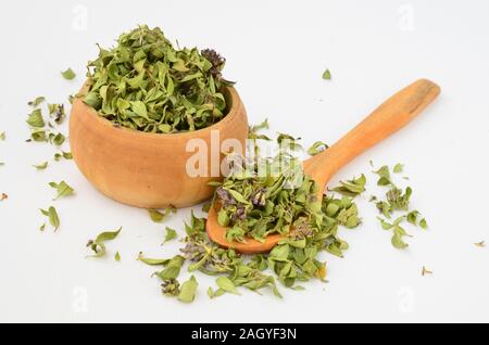 Dessiccation aromatique thym sauvage dans bol en bois et sol en bois cuillère à thé sur fond blanc Banque D'Images