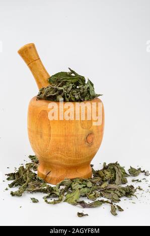 Menthe séchée - Mentha piperita, au mortier en bois bambou isolé sur fond blanc Banque D'Images