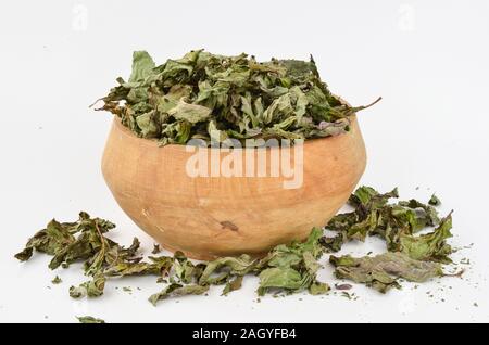 Menthe séchée - Mentha piperita, dans bol en bois isolé sur fond blanc Banque D'Images