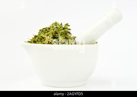 Pile de thym sauvage des fleurs et des feuilles en porcelaine blanche mortar isolated on white background, side view Banque D'Images