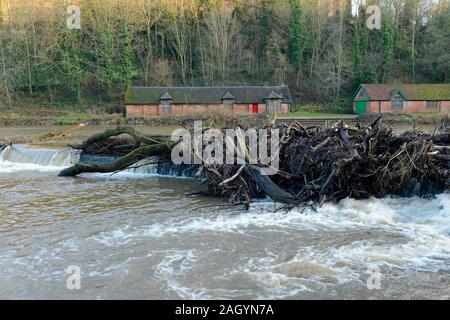 Les branches d'arbres et de sciage a fait tomber le River Lodge d'usure sur un wier en face de la cathédrale, Durham, UK Banque D'Images