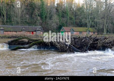 Les branches d'arbres et de sciage a fait tomber le River Lodge d'usure sur un wier en face de la cathédrale, Durham, UK Banque D'Images