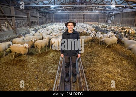 Frauenau, Allemagne. Le 05 mai 2019. Johannes Eichhorn, berger et montrer danseuse, est à sa moutons. Pour rendre le travail d'un berger plus attrayant pour la jeune génération de nouveau, le jeune homme montre un aperçu de l'œuvre avec l'amis à quatre pattes sur son profil d'Instagram. Credit : Lino Mirgeler/dpa/Alamy Live News Banque D'Images