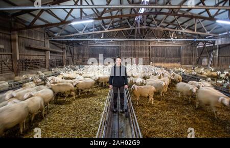 Frauenau, Allemagne. Le 05 mai 2019. Johannes Eichhorn, berger et montrer danseuse, est à sa moutons. Pour rendre le travail d'un berger plus attrayant pour la jeune génération de nouveau, le jeune homme montre un aperçu de l'œuvre avec l'amis à quatre pattes sur son profil d'Instagram. Credit : Lino Mirgeler/dpa/Alamy Live News Banque D'Images