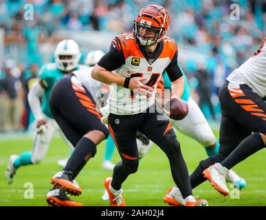 Miami Gardens, Florida, USA. Dec 22, 2019. Le quart-arrière des Bengals de Cincinnati Andy Dalton (14) en action lors d'un match de football américain NFL contre les Dolphins de Miami au Hard Rock Stadium de Miami Gardens, en Floride. Les dauphins ont remporté 38-35. Crédit : Mario Houben/ZUMA/Alamy Fil Live News Banque D'Images