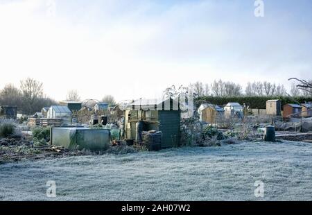 Les parcelles d'attribution d'un matin glacial. Banque D'Images