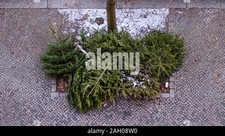 Une pile de jeté les arbres de Noël sur le trottoir Banque D'Images