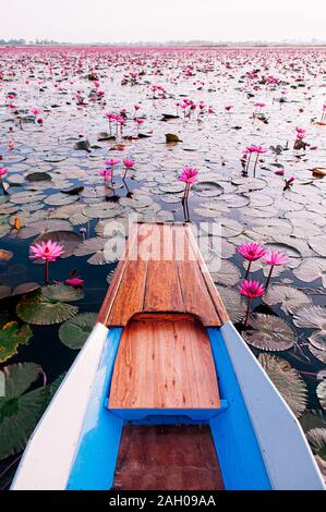 Thai long tail boat bow travel dans Nong pacifique Harn pleine floraison red lotus lake, Udonthani - Thaïlande. Bateau en bois en rouge nénuphars lotus mer. Banque D'Images