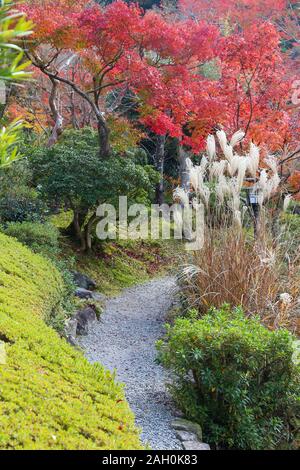 Nara, Japon. Couleurs d'automne au jardin japonais. Yoshikien Garden. Banque D'Images