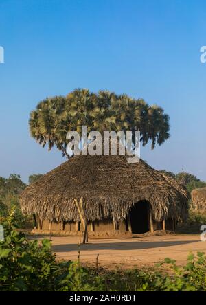 Village de la tribu Mundari traditionnel avec des palmiers doum, Central Equatoria, Terekeka, au Soudan du Sud Banque D'Images