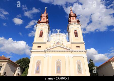 Arad, Roumanie. Cathédrale de la naissance de Saint Jean le Baptiste. L'église baroque de l'architecture. Banque D'Images