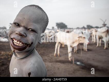 Smiling Mundari tribe boy couvert de cendres en prenant soin de longues cornes vaches dans un camp, l'Équatoria central, Terekeka, au Soudan du Sud Banque D'Images