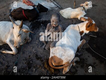 Mundari tribe boy couvert de cendres en prenant soin de longues cornes vaches dans un camp, l'Équatoria central, Terekeka, au Soudan du Sud Banque D'Images