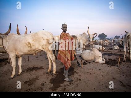 Mundari tribe boy avec ses longues cornes vaches dans le camp, l'Équatoria central, Terekeka, au Soudan du Sud Banque D'Images