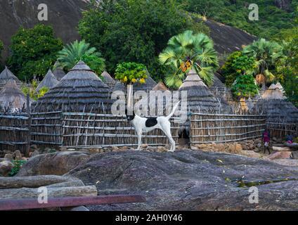 Village de la tribu des Lotuko avec maisons d'adobe, l'Équatoria central, Illeu, au Soudan du Sud Banque D'Images