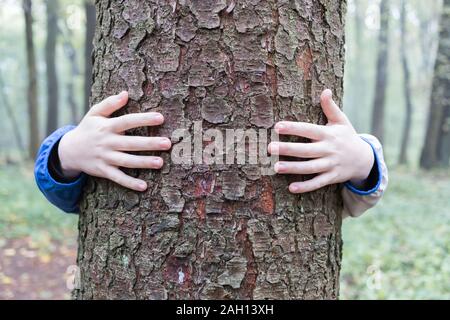 Petit garçon est serrant un arbre Banque D'Images