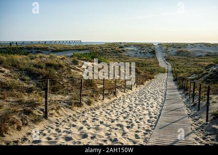Passerelle en bois à travers les dunes et chemin de sable avec de l'herbe sur les côtés par le coucher du soleil Banque D'Images