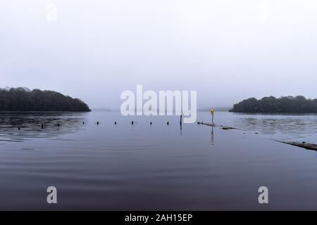 Lough Key dans le comté de Roscommon en Irlande foggy et inondé lors de l'hiver avec la zone de baignade déjà sous l'eau Banque D'Images