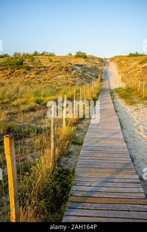 Coucher du soleil chaud de l'éclairage dans les dunes l'herbe le long d'un sentier en bois en france Banque D'Images