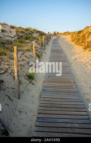 Coucher du soleil chaud de l'éclairage dans les dunes l'herbe le long d'un sentier en bois en france Banque D'Images