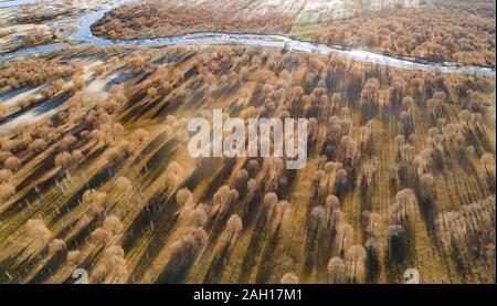 (191223) -- BEIJING, 23 décembre 2019 (Xinhua) -- photo aérienne prise le 8 décembre 2019 présente le paysage le long du fleuve Yarlung Zangbo, dans le sud-ouest de la Chine dans la région autonome du Tibet. À partir de l'expédition scientifique à l'Yamzbog Yumco Lake à la conservation de la faune et de la mission de patrouille dans Shuanghu County à une altitude moyenne de plus de 5 000 mètres, à partir d'une fête traditionnelle à des courses de chevaux de l'lifting annuel Palais du Potala, les photographes de presse Xinhua capturé la vie quotidienne de la population locale et les réalisations sur le développement social au Tibet en 2019, l'année qui marque le 60e anniversaire de la campagne de de Banque D'Images