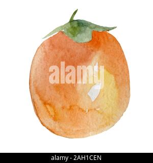La main de l'aquarelle sur fond blanc. Banque D'Images